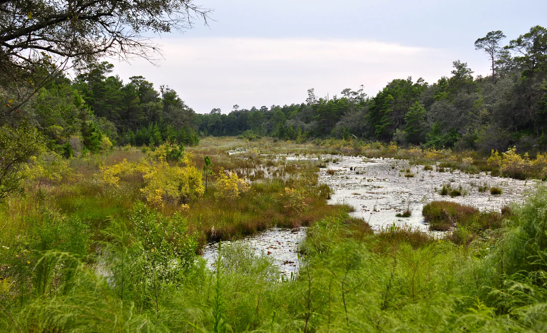Puddin' Head Lake at Fred Gannon Rocky Bayou State Park.