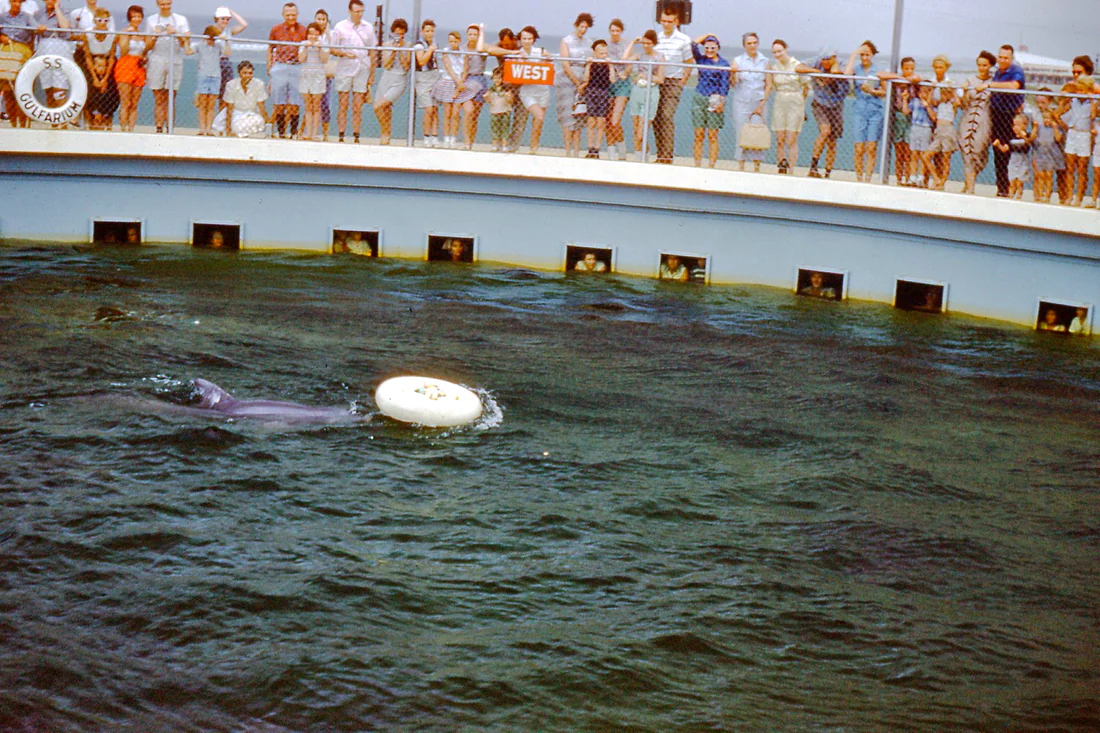 The Gulfarium in Fort Walton Beach, 1959.