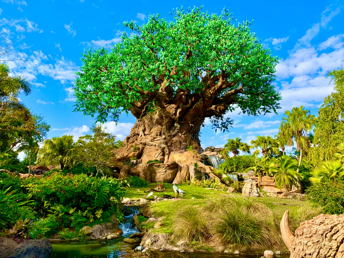 The Tree of Life at Disney's Animal Kingdom, 2019.