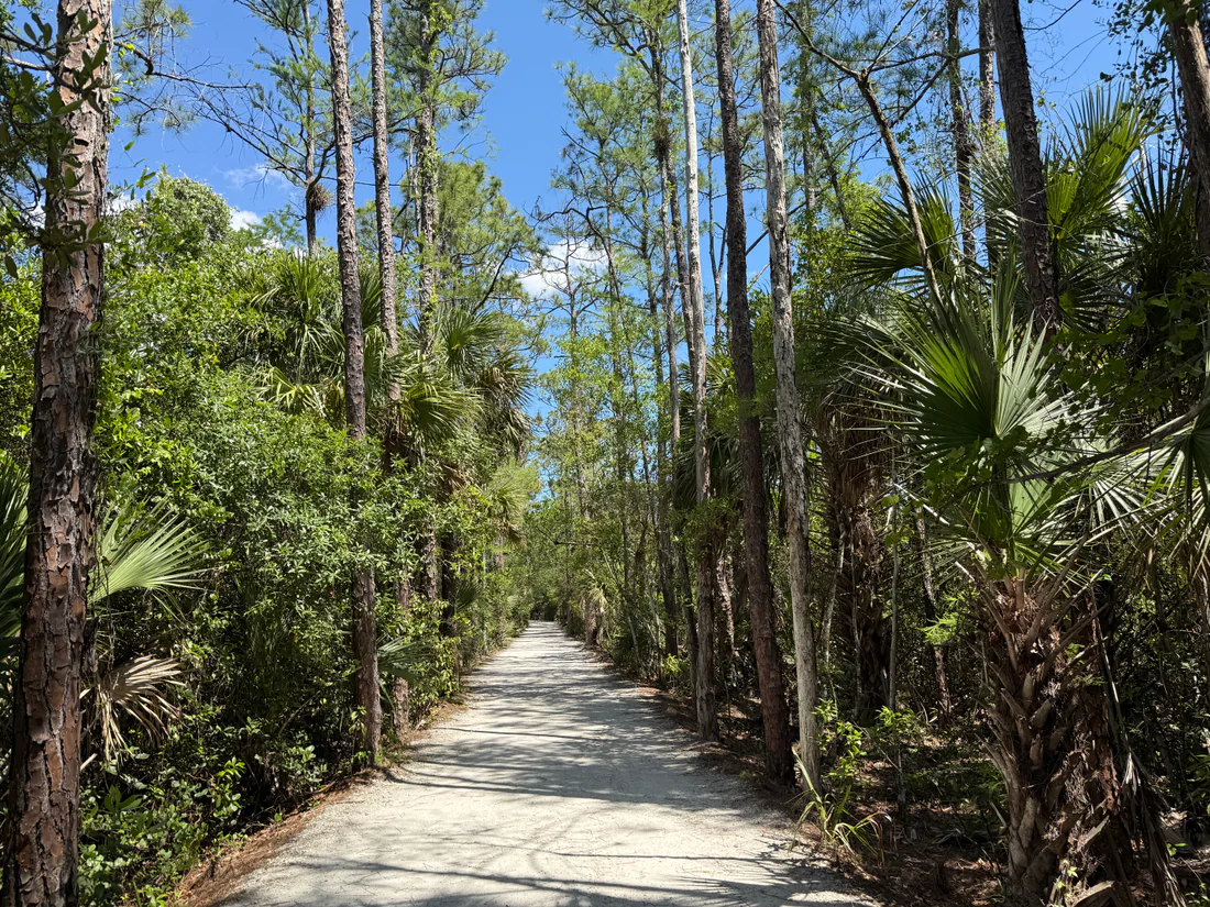 A walking trail in Riverbend Park in Jupiter.