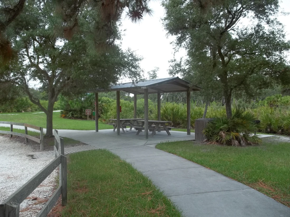 Werner-Boyce Salt Springs State Park, 2011.