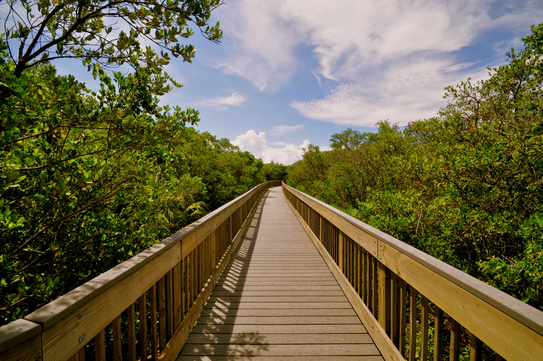 Weedon Island Preserve, 2010.