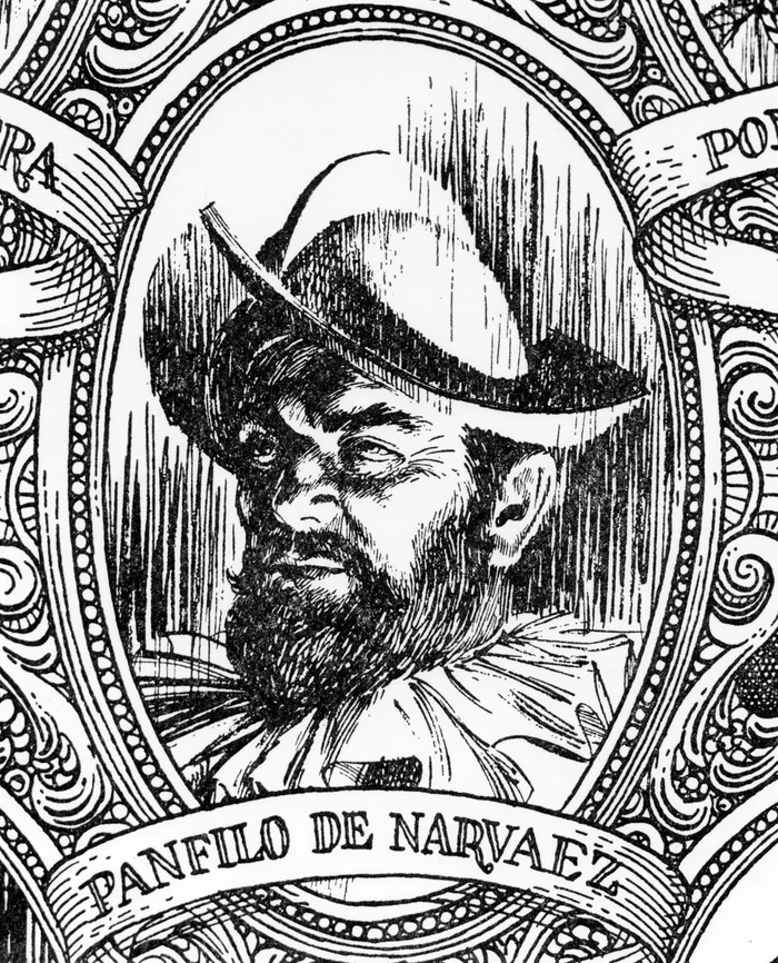 Pánfilo de Narváez.