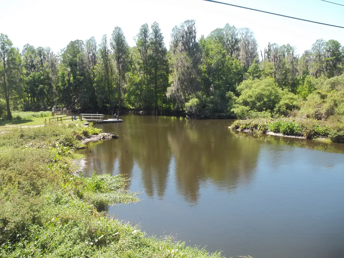 The Peace River near Bartow, 2020.