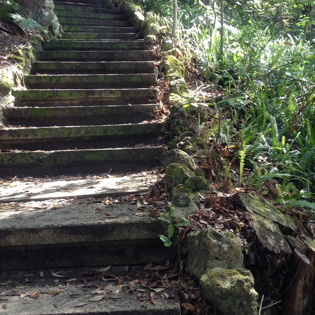 Stone steps at Ravine Gardens in Palatka, built by the Works Progress Administration, seen in 2019.