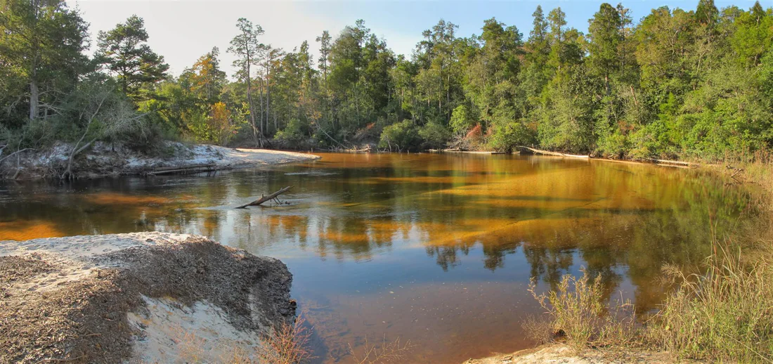 The Blackwater River from the Big Sand Bar in Blackwater River State Forest.