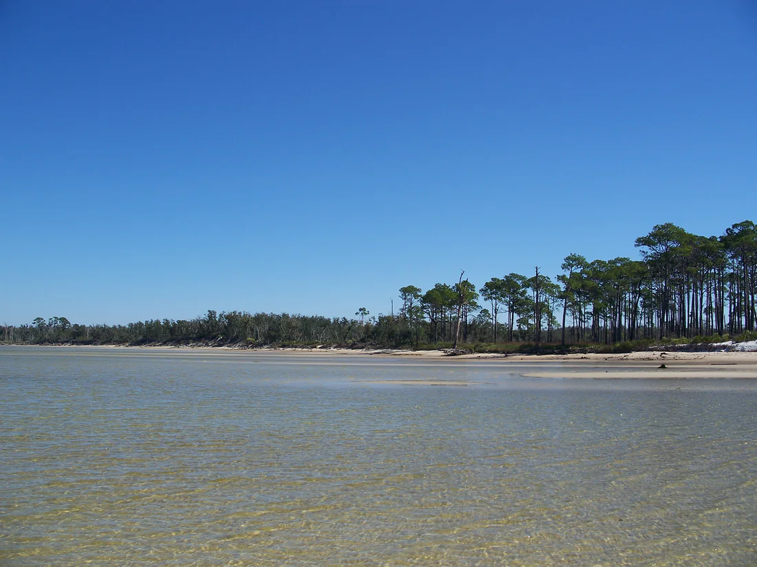 The shore at the Naval Live Oaks Area of Gulf Islands National Seashore.