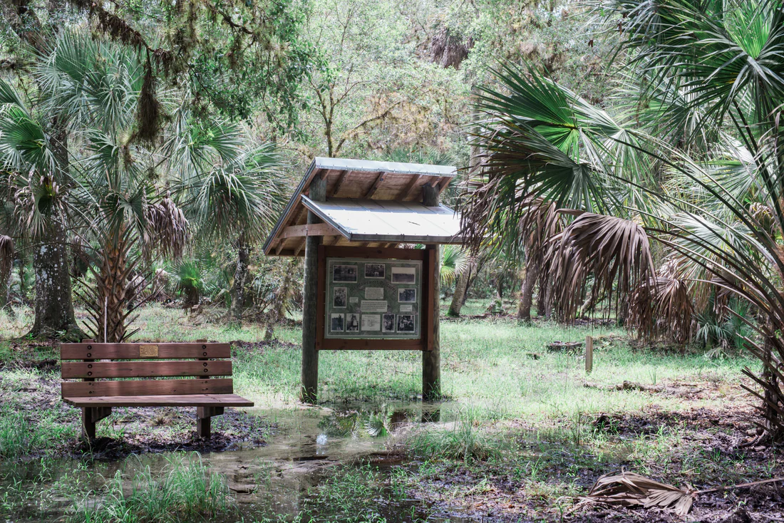 A trail in Myakka River State Park, 2017.