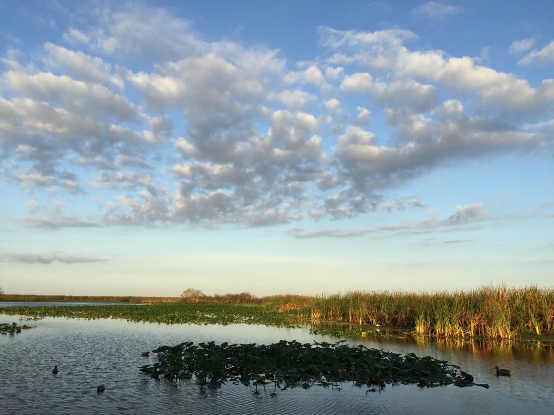 Lake Monroe in December 2016.