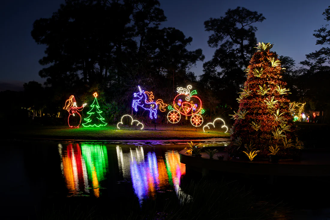 Christmas lights at the Port St. Lucie Botanical Gardens, 2024.