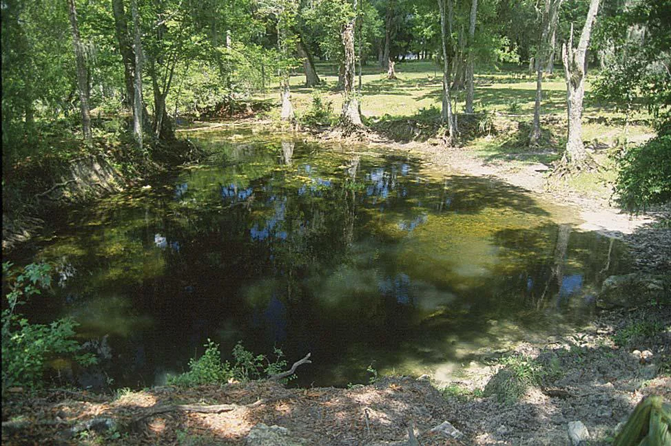 Fenney Spring in the Lake Panasoffkee area, 2004.