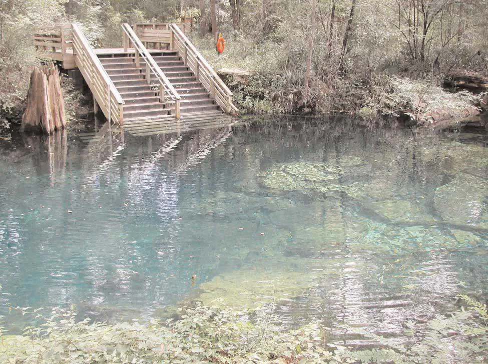 Steps into the clear water of Peacock Springs, an area Paleo-Indians hunted around 12,000 BCE.