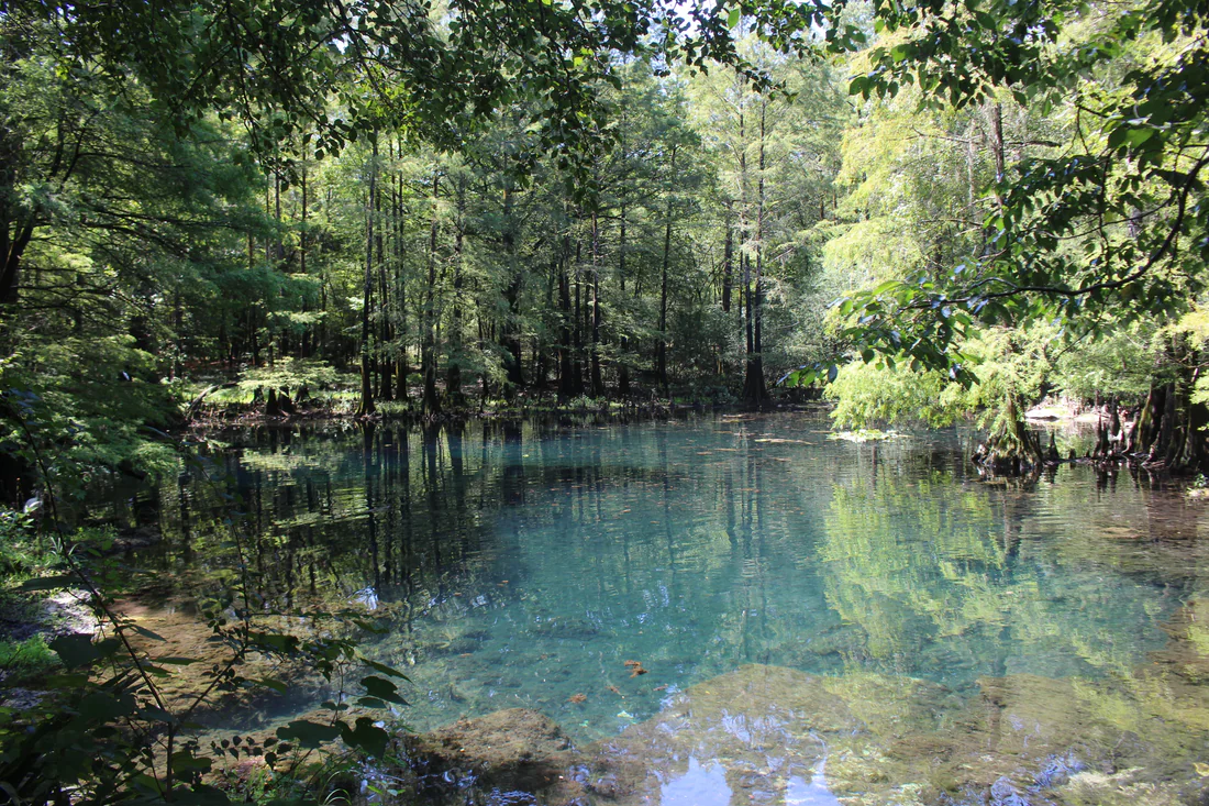 Clear blue water at Peacock Spring in Wes Skiles Peacock Springs State Park, 2022.