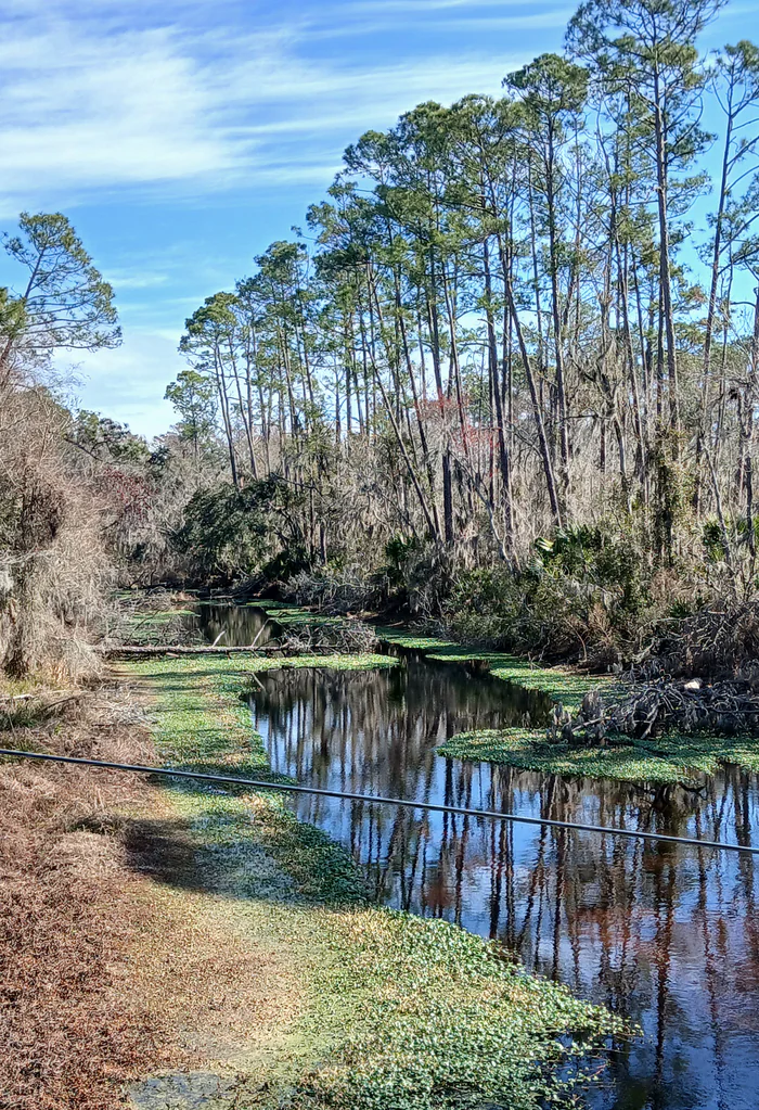 The Fenholloway River east of Perry, where troops destroyed deserters' houses along the banks in 1864.