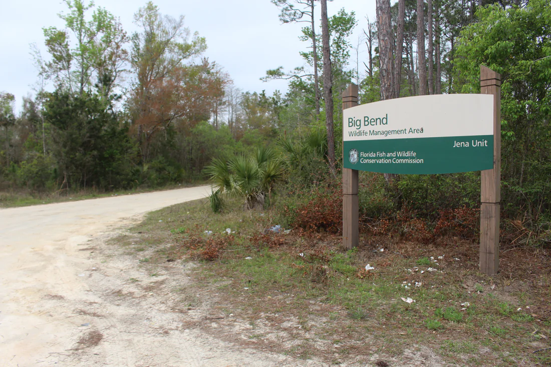 A sand road and sign at the Big Bend Wildlife Management Area near Jena, 2024.