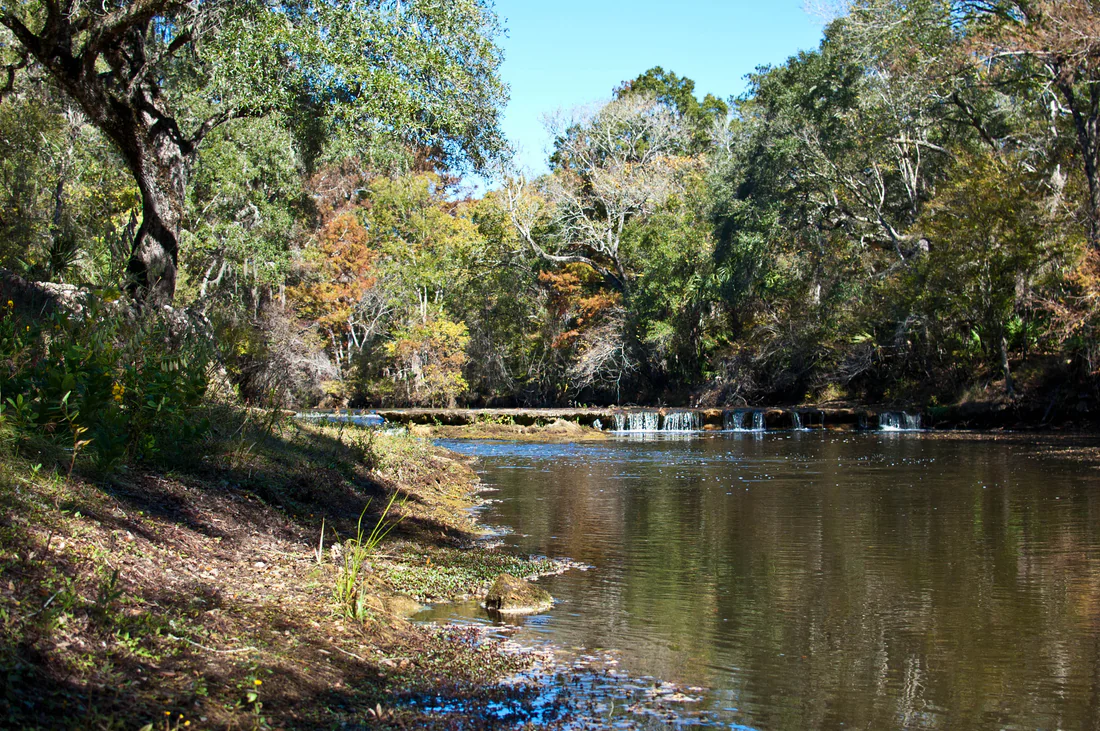 The Steinhatchee River at Steinhatchee Falls, 2011.