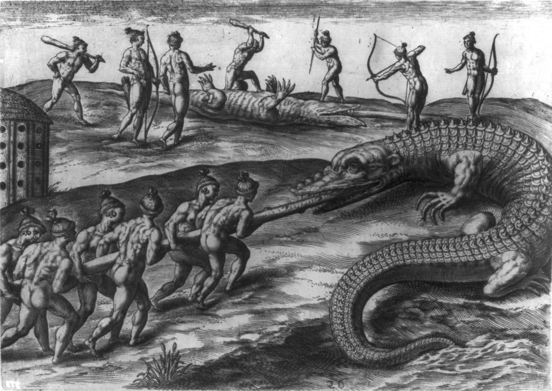 Native Florida hunters killing an alligator, in a 1591 engraving by Theodor de Bry.