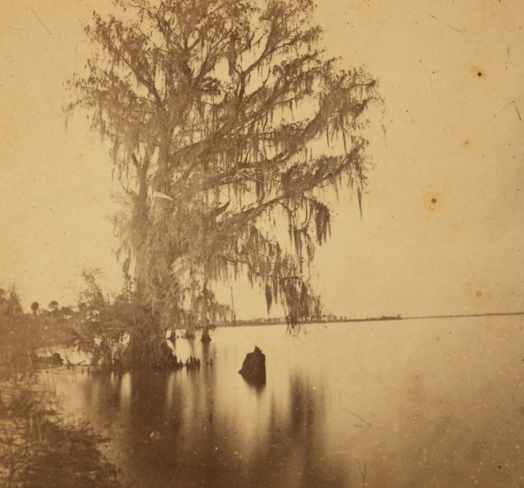 Lake Monroe at Enterprise, in a stereograph by A. F. Styles from about 1875.