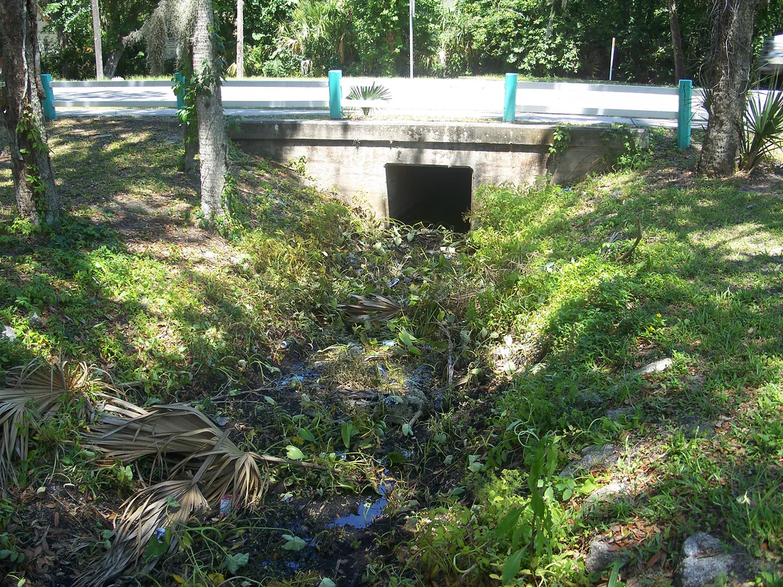 Part of the old Turnbull Canal system in Myrtle Avenue Park, New Smyrna Beach, 2009.