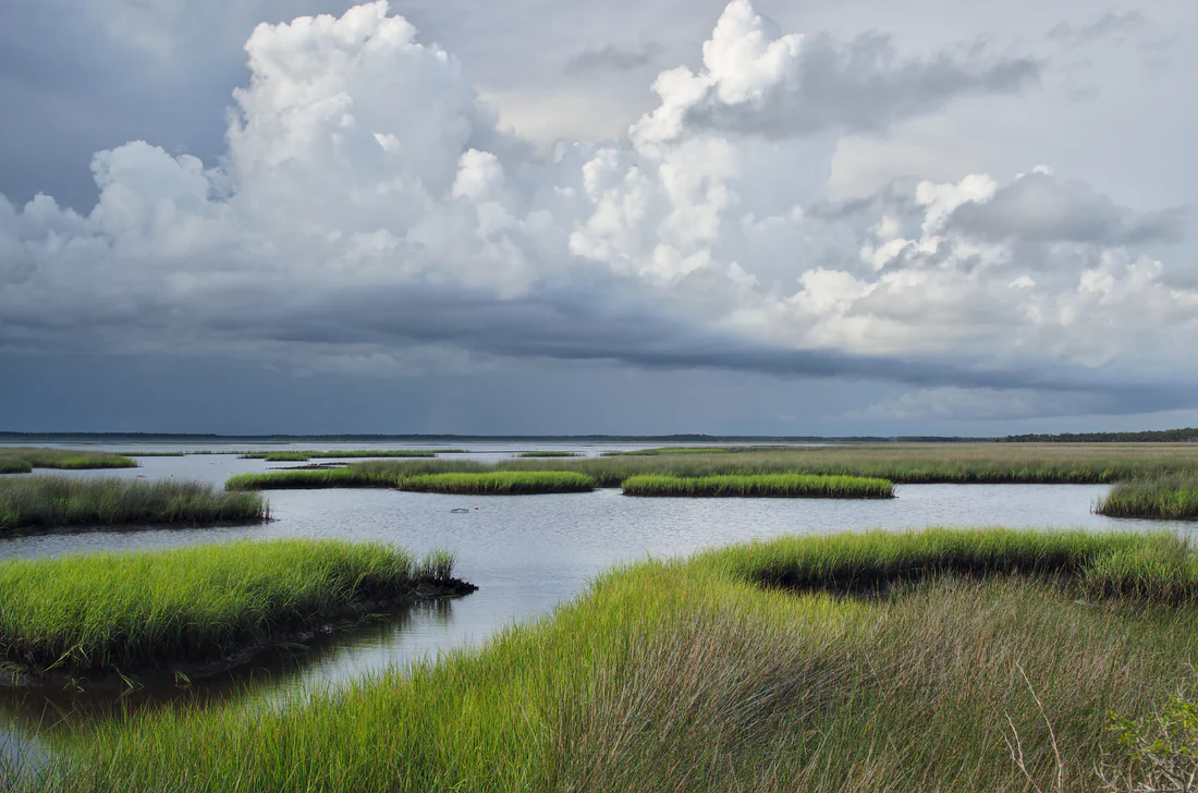Marsh grass and clouds in St. Marks National Wildlife Refuge, 2016.
