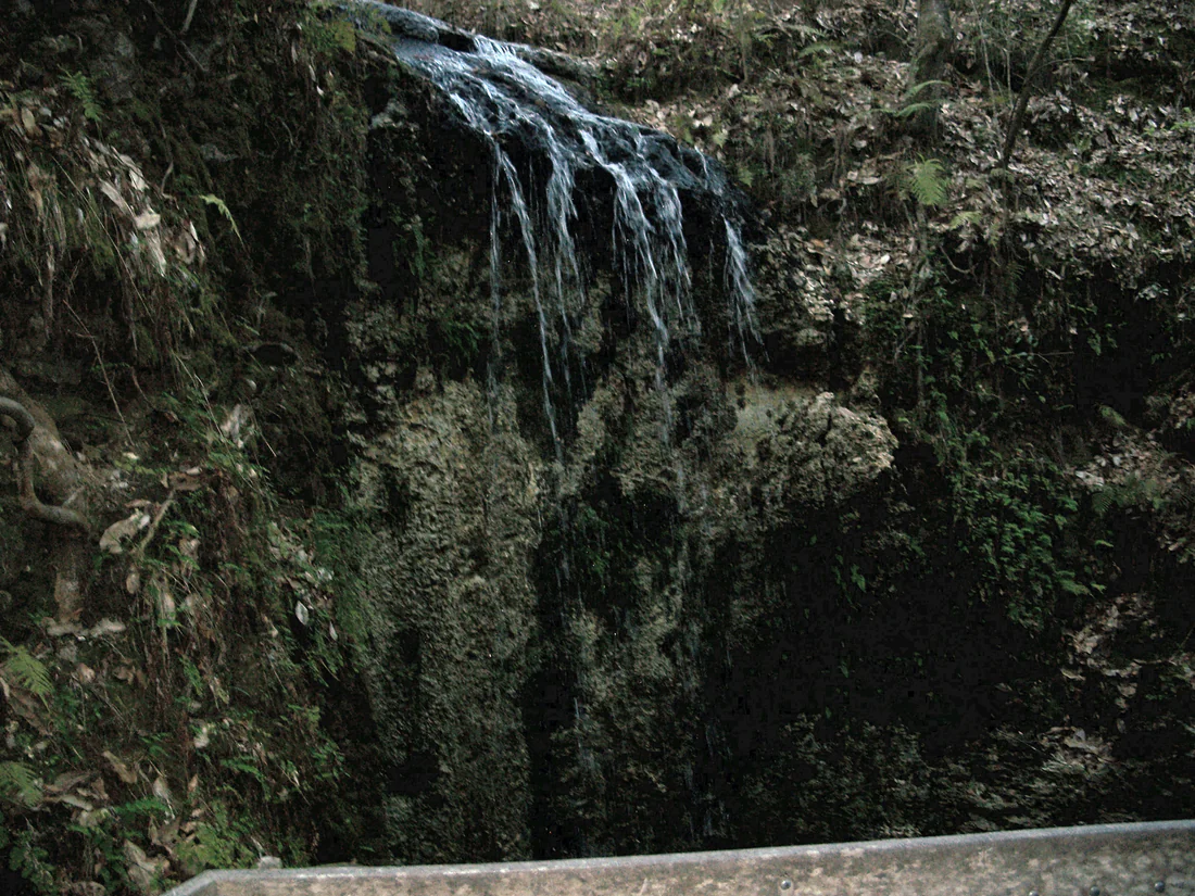 The waterfall dropping into the round sinkhole at Falling Waters State Park, 2008.