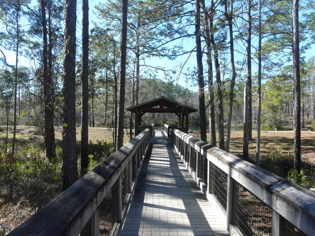 A boardwalk over a ravine at Falling Waters State Park, where people lived at least 5,000 years ago.