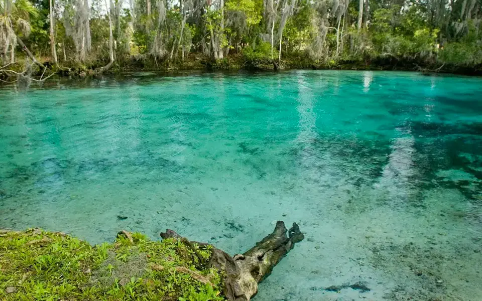 Clear spring water and Nature Coast greenery