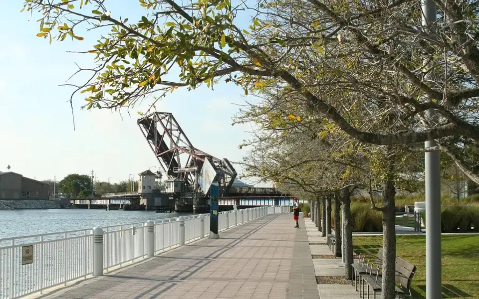 Tampa riverfront arts and city life