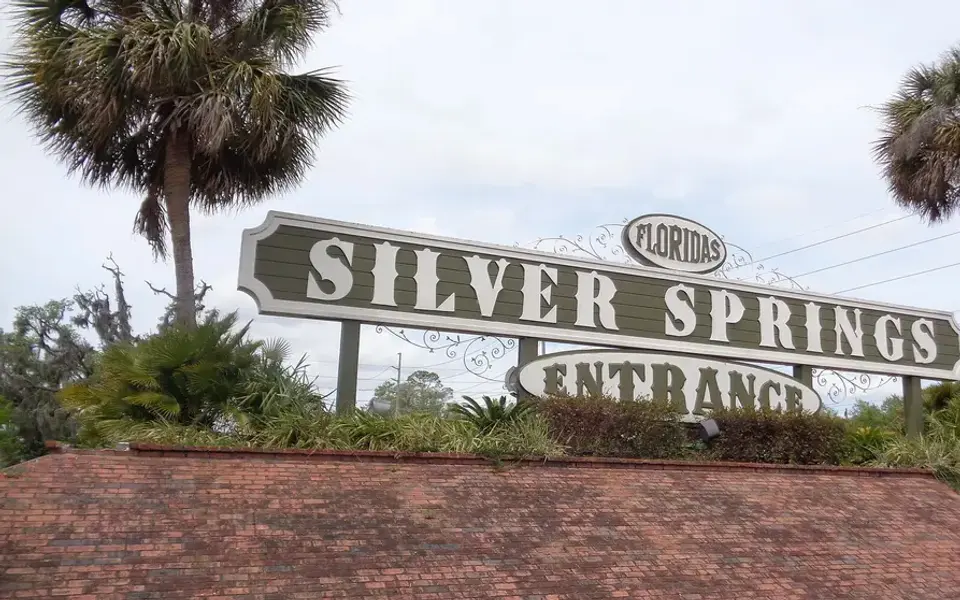 Clear freshwater spring in Central Florida