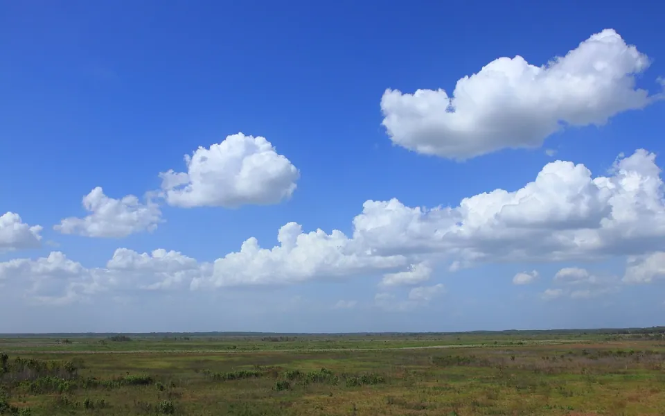 Paynes Prairie Preserve State Park in Alachua County, Florida