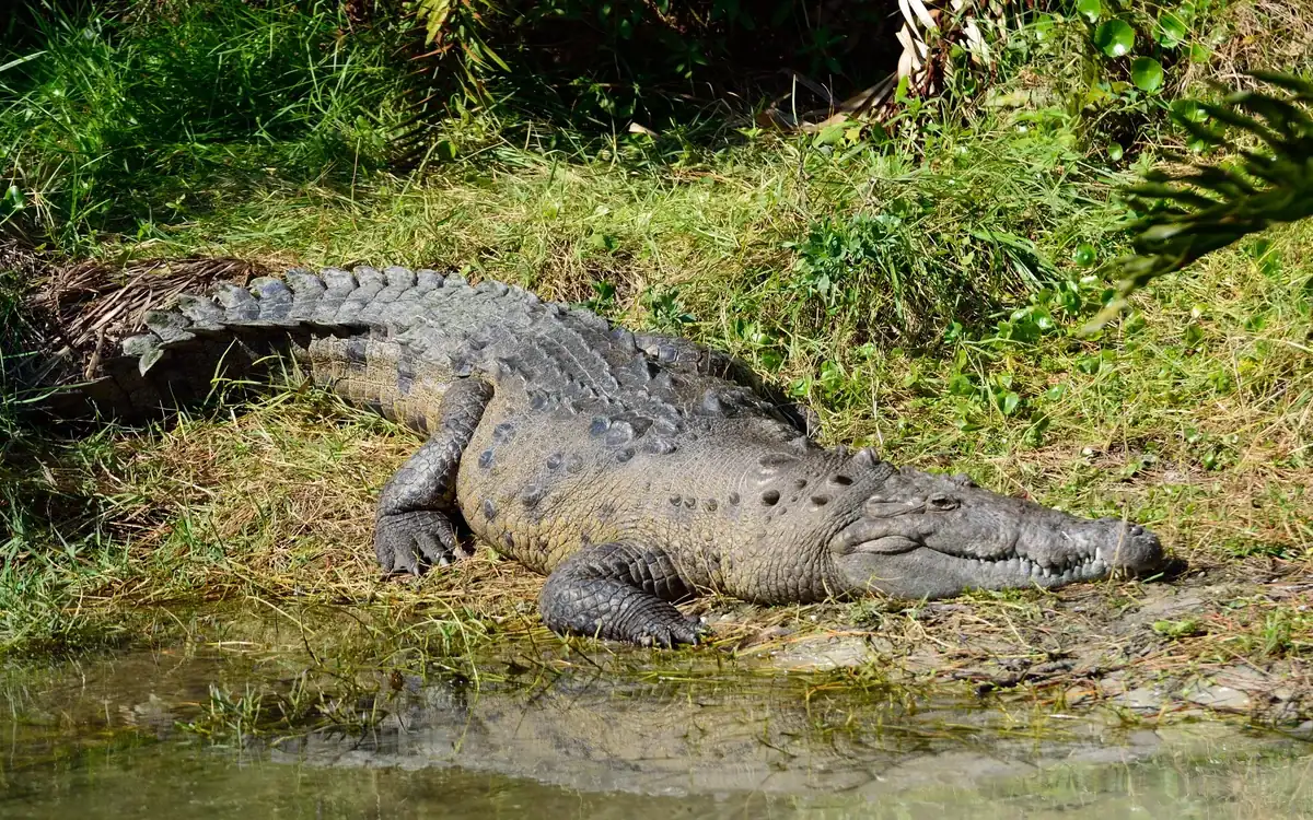 Brevard Zoo in Brevard County, Florida