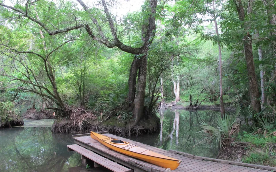 Chipola River in Calhoun County, Florida