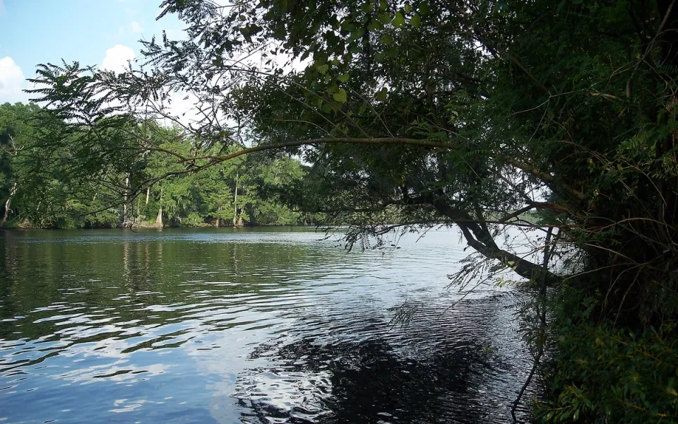 Dixie County, Florida