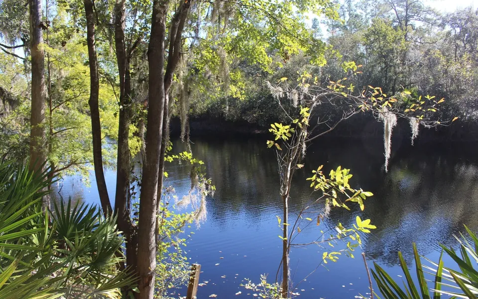 Big Shoals State Park in Hamilton County, Florida