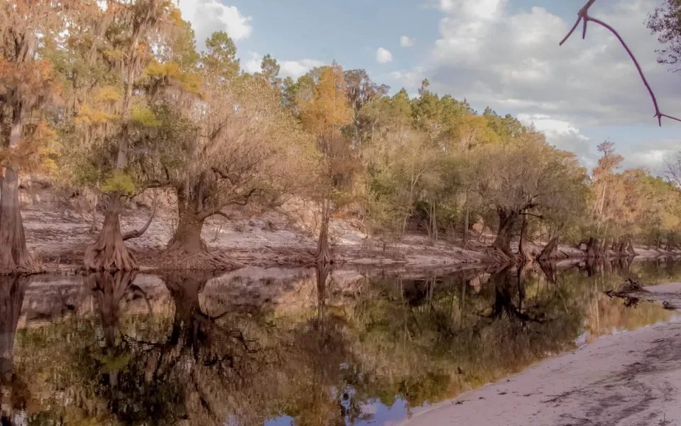 Suwannee River in Hamilton County, Florida