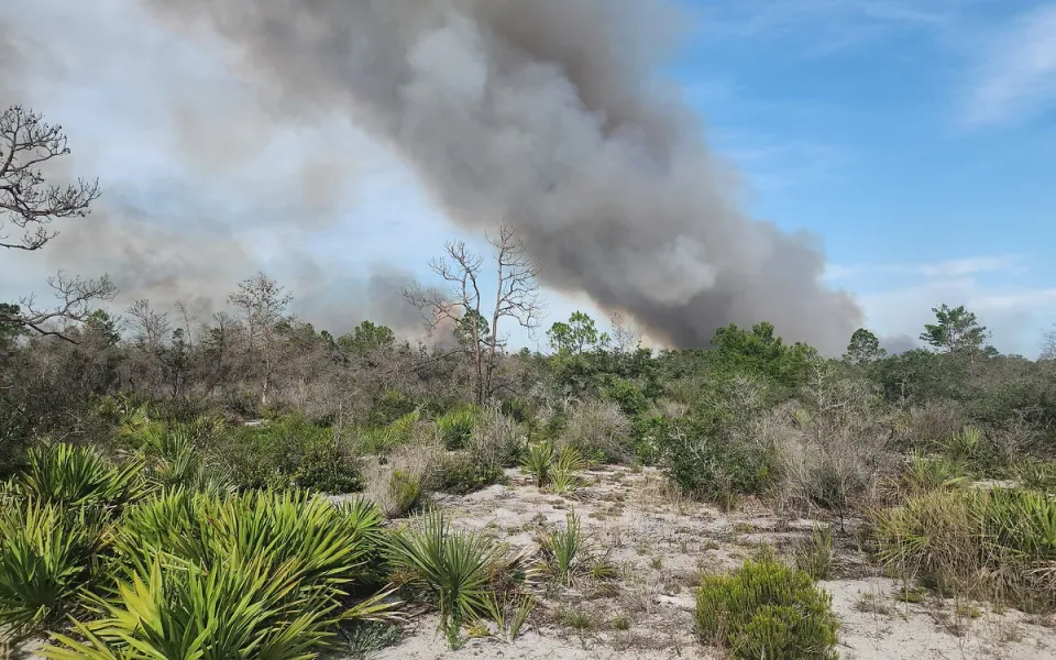 Archbold Biological Station in Highlands County, Florida