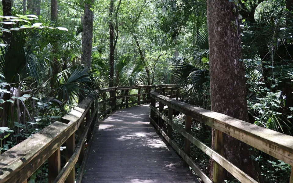 Highlands Hammock State Park in Highlands County, Florida