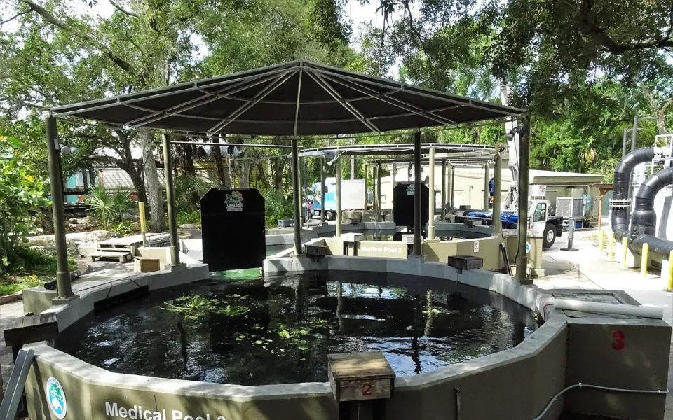 ZooTampa at Lowry Park in Hillsborough County, Florida