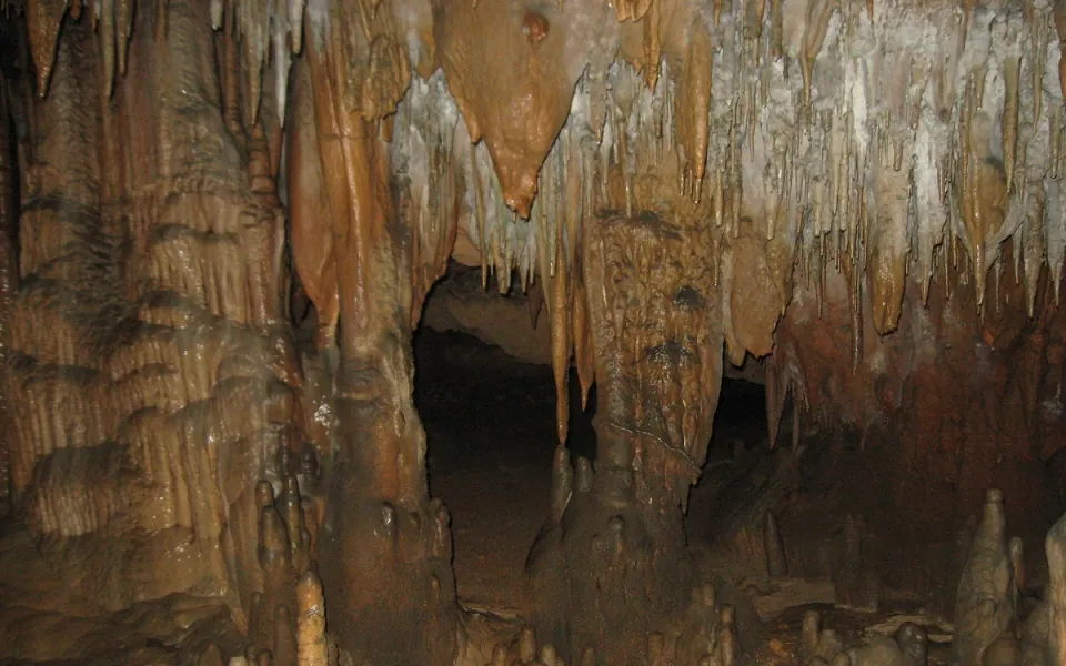 Florida Caverns State Park in Jackson County, Florida