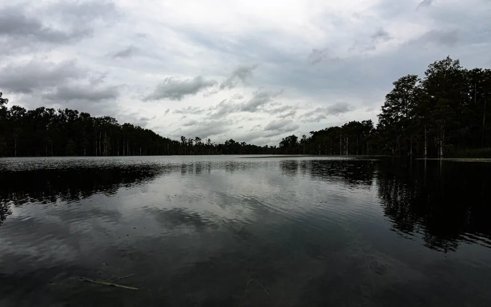 Merritt's Mill Pond in Jackson County, Florida