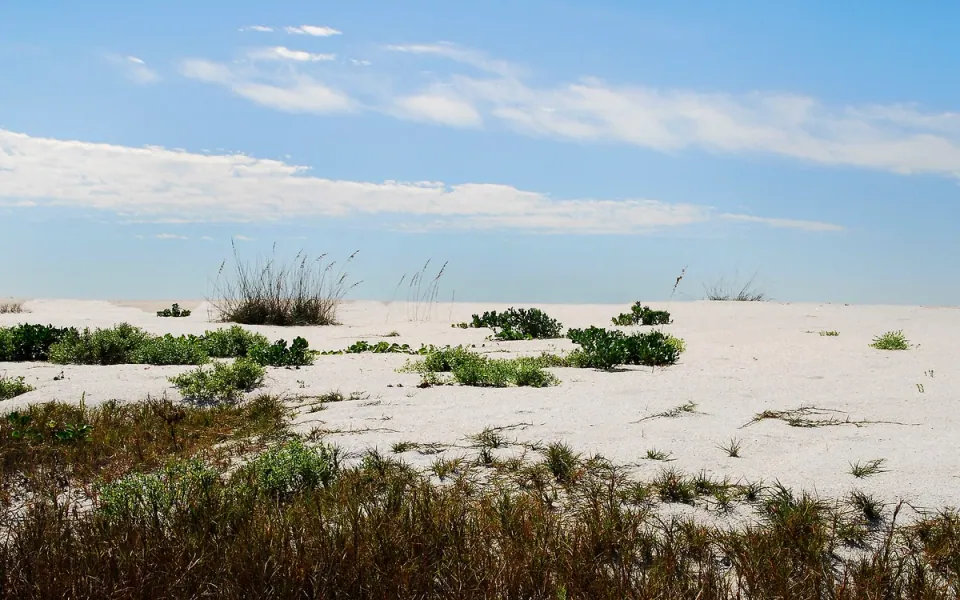 Cayo Costa State Park in Lee County, Florida