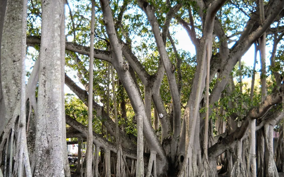 Lee County, Florida