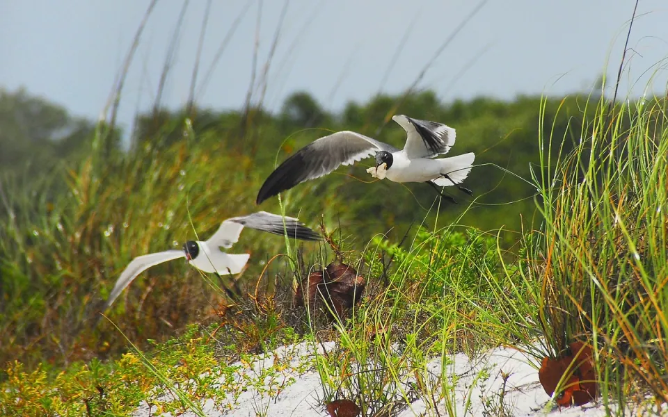 Lovers Key State Park in Lee County, Florida