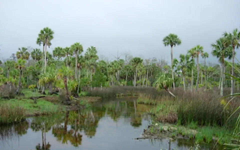 Lower Suwannee National Wildlife Refuge in Levy County, Florida