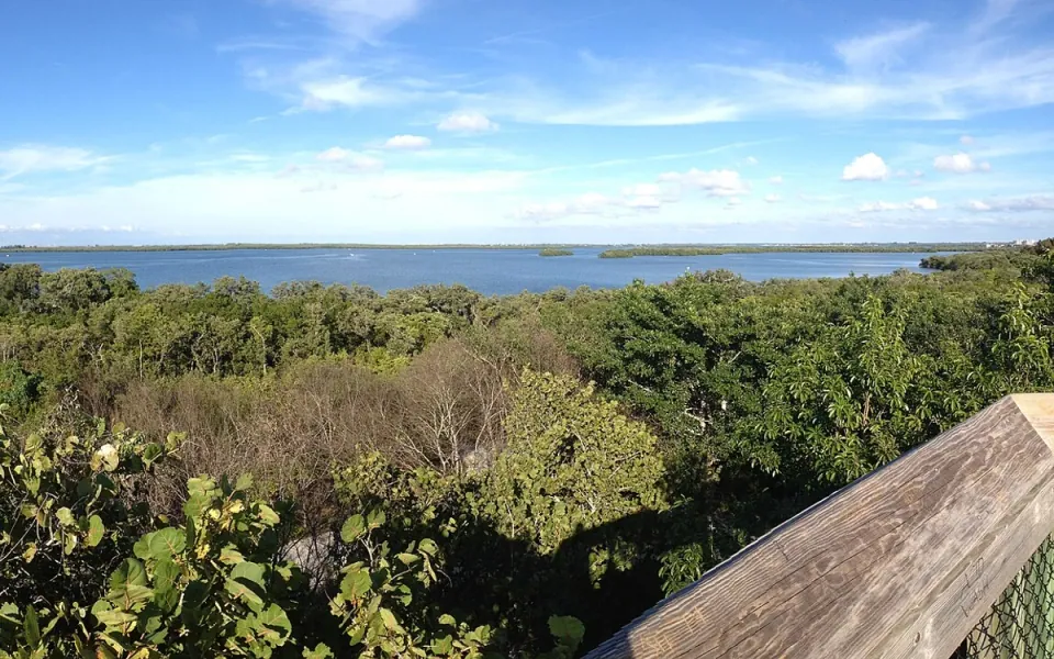 Emerson Point Preserve in Manatee County, Florida