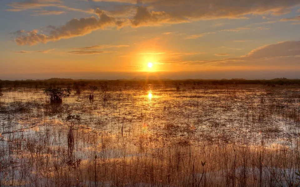 Everglades National Park in Miami-Dade County, Florida