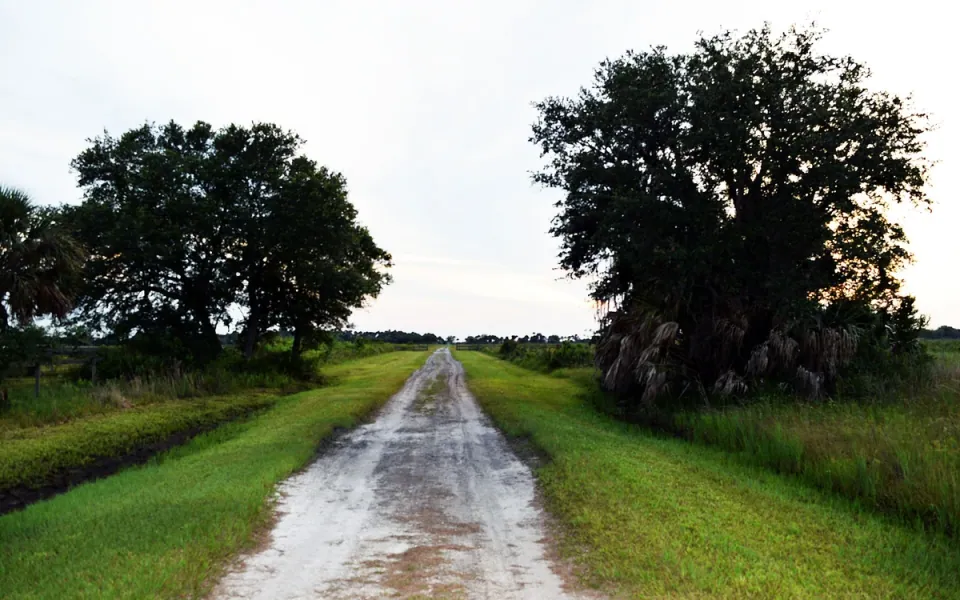 Kissimmee Prairie Preserve State Park in Okeechobee County, Florida