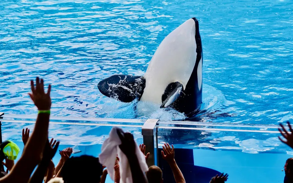 SeaWorld Orlando in Orange County, Florida