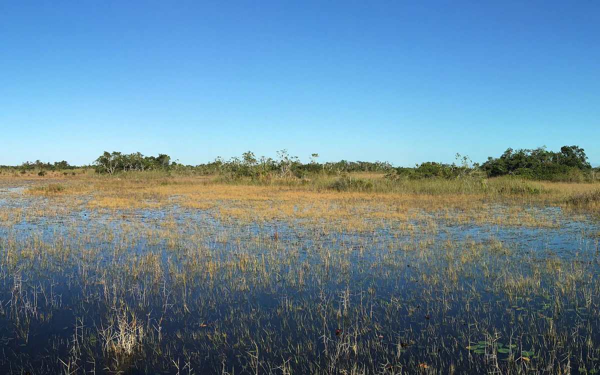 Arthur R. Marshall Loxahatchee National Wildlife Refuge in Palm Beach County, Florida