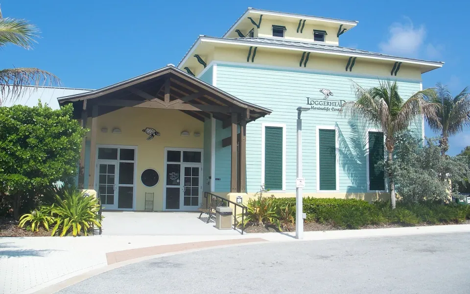 Loggerhead Marinelife Center in Palm Beach County, Florida